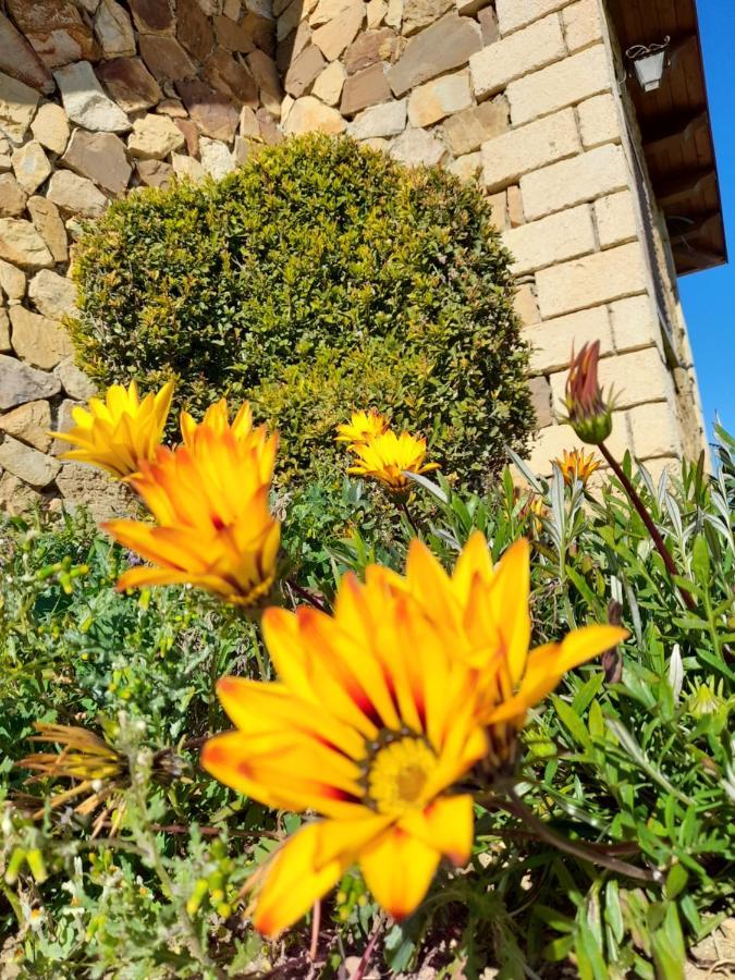ניקוסיה Agriturismo La Stragola מראה חיצוני תמונה
