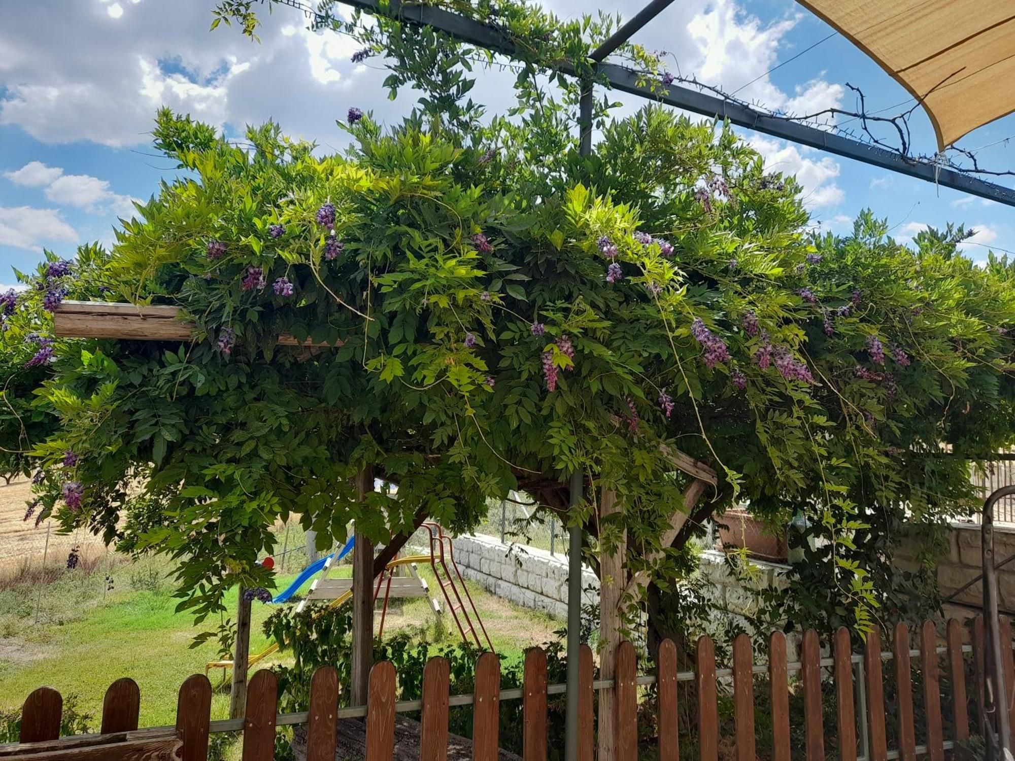 ניקוסיה Agriturismo La Stragola מראה חיצוני תמונה